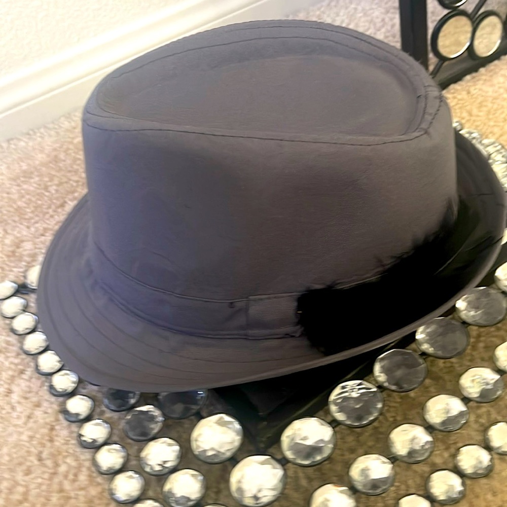 Grey w/ black feather fedora hat.